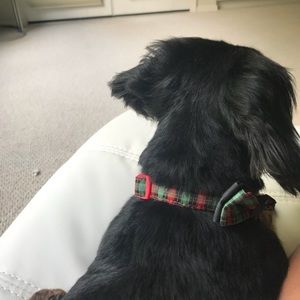 Meet your Posher, Shahin